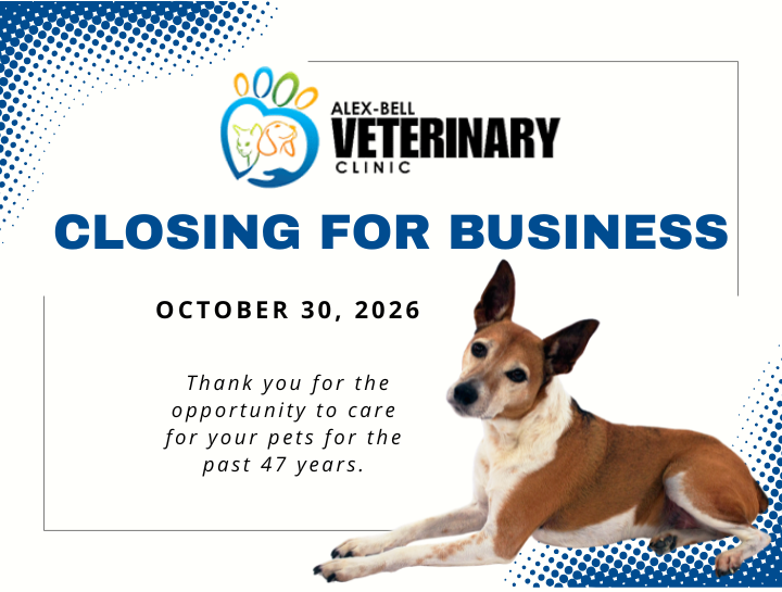 An Important Update About Alex-Bell Veterinary Clinic
