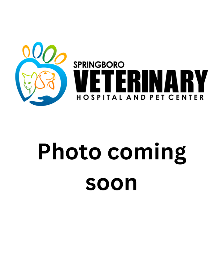 Meet the Team AlexBell Veterinary Clinic and Exclusively Posh Pets